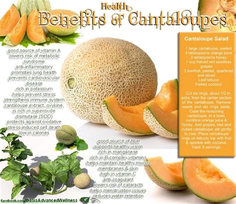 Health Benefits Of Cantaloupe Cantaloupe Benefits Cantaloupe Salad