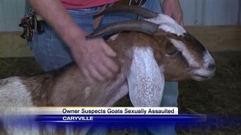 Elusive Goat Rapist On Prowl In Florida According To Woman Daily