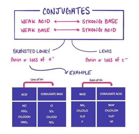 Conjugate Acid Base Pairs — Overview And Examples Expii