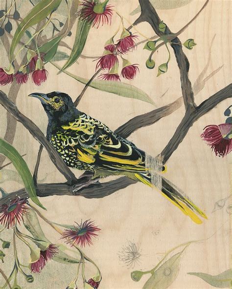 New Painting This One Is Titled Regent Honeyeater Shade Amongst