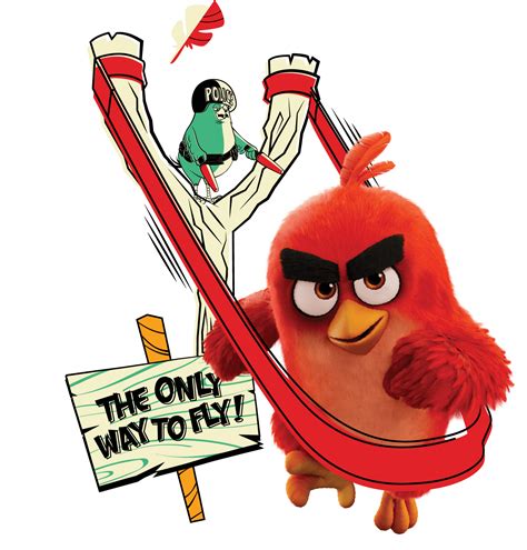 Contact Angry Birds World
