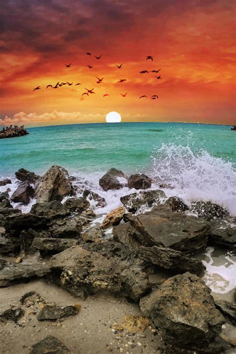 Последние твиты от the black sea (@theblackseafilm). Sunrise Over The Black Sea Pictures, Photos, and Images ...
