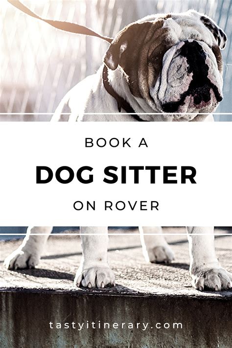 Maybe you would like to learn more about one of these? My Dogs, Dog Sitters, and Homemade Dog Food | Dogs, Dog ...