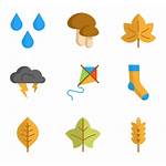 Autumn Fall Icons Icon Elements Packs Vector