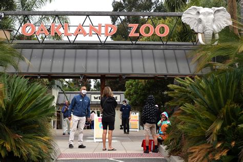 After More Than 120 Days Oakland Zoo Reopens To Visitors