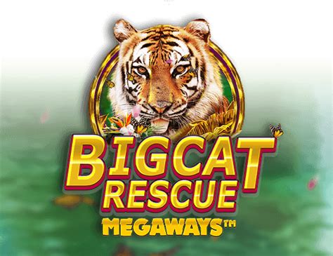 Big Cat Rescue Megaways Free Play In Demo Mode