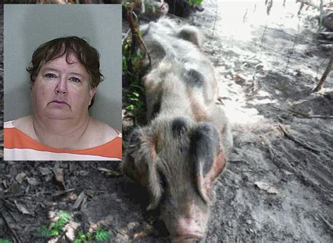 Ocala Post Woman Charged With 8 Counts Of Animal Cruelty Cause Cruel