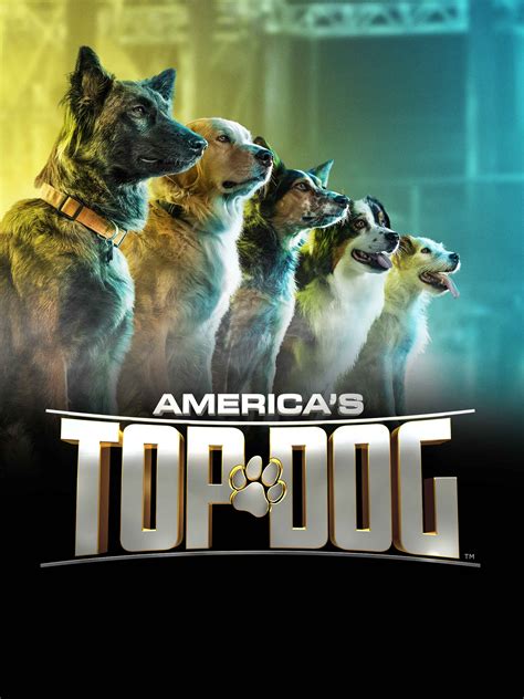 Americas Top Dog Tv Listings Tv Schedule And Episode Guide Tv Guide