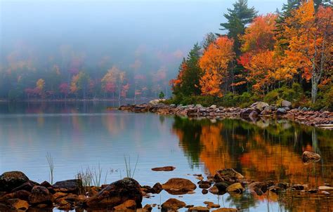 Wallpaper Autumn Forest The Sky Leaves Water Trees Mountains