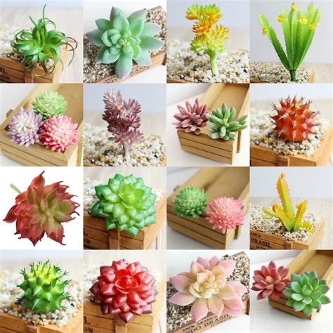 【tiny artificial succulent plants】this set of 6 packs assorted potted succulents plants is really. Artificial Succulents Plant Garden Miniature Fake Cactus ...