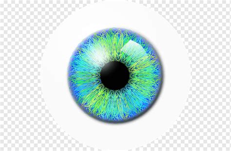 눈동자 아이콘 눈 파란색 사람들 인간의 눈 Png Pngwing