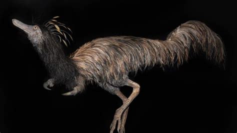 Bizarre Captain Hook Dinosaur With Long Claws Discovered In Montana