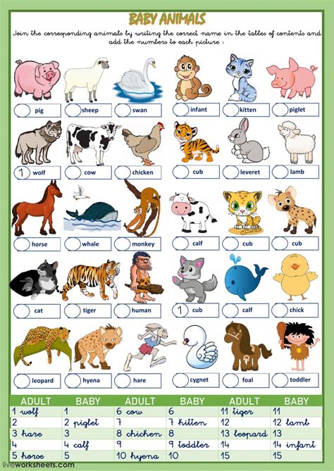 Animals And Their Babies Interactive Worksheet