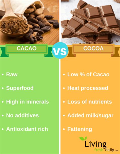 Raw Cacao Benefits 5 Reasons You Need To Be Eating This Superfood