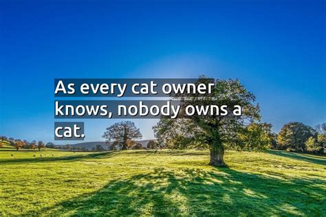 Quote As Every Cat Owner Knows Nobody Owns Coolnsmart