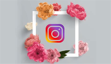 Instagram Updates How To Take Advantage Of New Features Zentrix