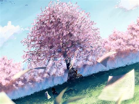 The Big Imageboard Tbib Artist Request Brown Hair Cherry Blossoms