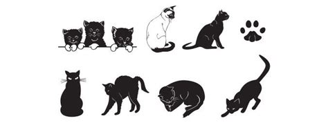 Download Pin on Cricut / SVG / Cat