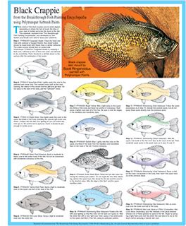 Tipsrevit4you hope that those videos will useful for. Black Crappie Paint Schedule » Ken's Corner