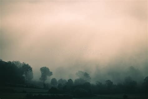 Foggy Autumn Landscape Sad Feelings In The Nature Background With