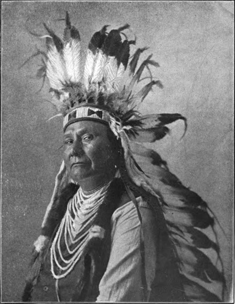 Chief Joseph Native American Indian Tribes Native American Indians