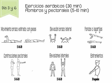 Se trata de estar completamente los abdominales también deben trabajarse si lo que queremos es hacer ejercicios para adelgazar en casa pues nunca nos veremos del todo bien si. Entrenamiento | fitnessencasa