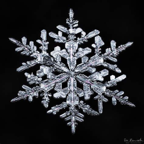 Gallery Of 100s Of The Best Snowflake Images Sky Crystals Snowflake