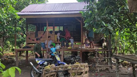 Mencari Durian Makan Dan Bermalam Di Pondok Kebun Durian YouTube