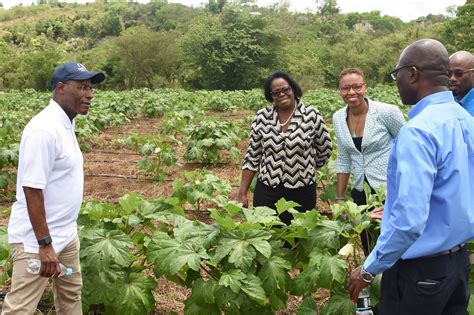 Ebony Park Heart Academy Gets Help From The Nic National Irrigation