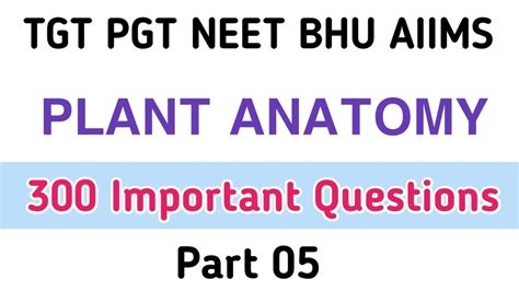 Plant Anatomy Class 11 Plant Tissue Mcq Bhu Aiims Neet 2024