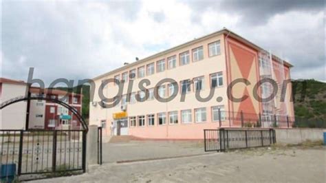 Serdivan şehit erol olçok anadolu lisesi taban puanı 2021. Niksar Prof. Dr. Mustafa Erol Turaçlı Fen Lisesi Taban ...