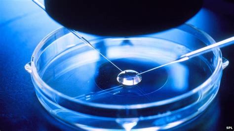 In vitro fertilization (ivf) is a technique whereby egg fertilization takes place outside the woman's body. In vitro Fertilisation - IVF | kgiatrasivf.gr