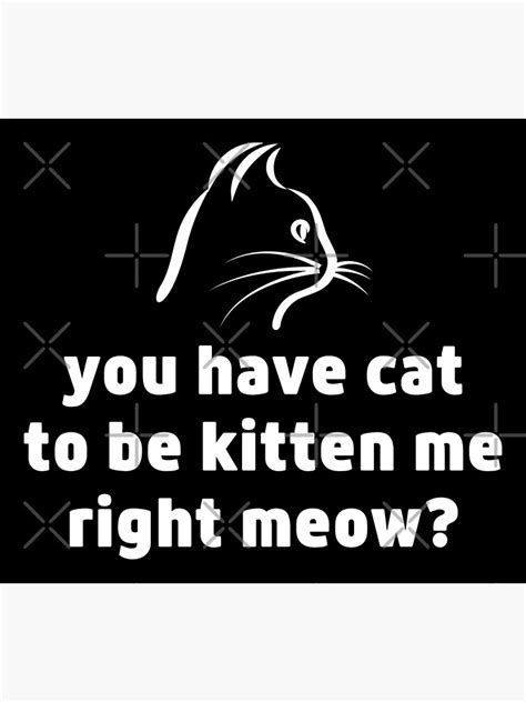 You Have Cat To Be Kitten Me Right Meow Poster For Sale By Barokahabadi Redbubble