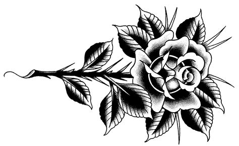 Rose Drawing Tattoo Tattoo Art Drawings Roses Drawing Rose Tattoos