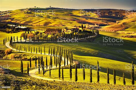 Tuscany Rural Sunset Landscape Countryside Farm White Road An Stock