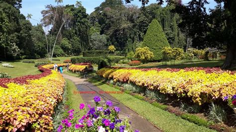 Royal Botanical Garden Peradeniya
