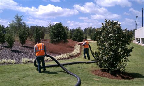 Landscaping Services And Cost Handyman Services Of Albuquerque