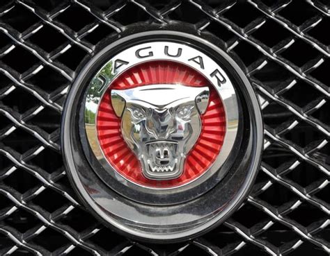 The figure of the jaguar is 7 feet long (=17, 8 centimeters). The Jaguar Symbol | History of the Jaguar Logo