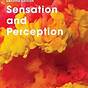 Sensation And Perception 2nd Edition Pdf Free