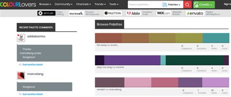 Best Color Palette Generators Even Beginners Can Use