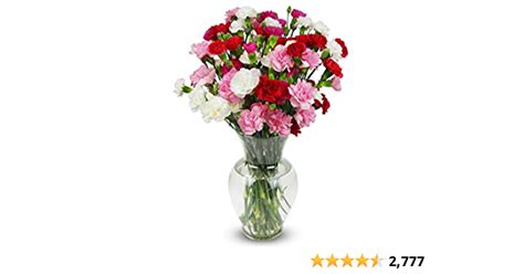 Benchmark Bouquets 20 Stem Rainbow Mini Carnations Next Day Prime