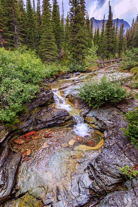Northwest Usa Colorful Creek Bed Is A Photograph By Gary Brewer