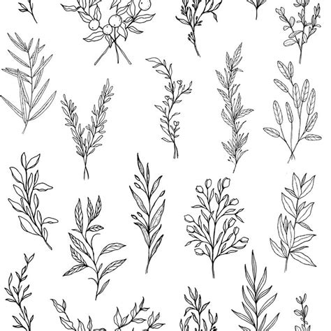 Herbs Of The Field Repeating Simple Botanical Pattern Flower Line