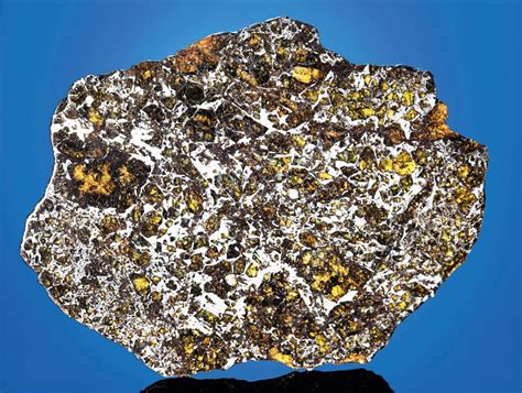 A Complete Slice Of Admire Meteorite Pallasite — Pmglyon County