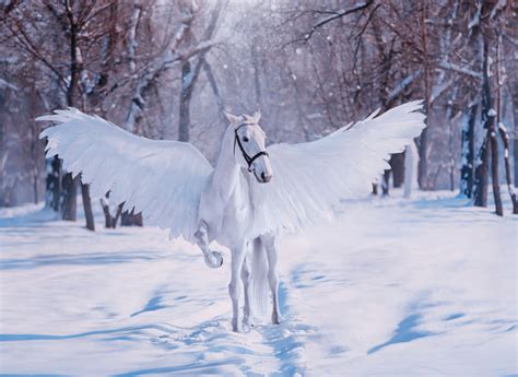 15 Famous Horses In Mythology Helpful Horse Hints