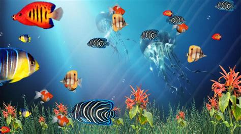 Wonderful Tropical Fish In The Ocean Aquarium 3d Screensaver