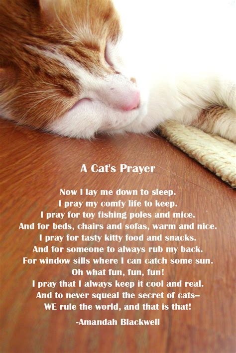 They come into our lives for such a short time a time we wouldn't. Cat Poems And Quotes. QuotesGram