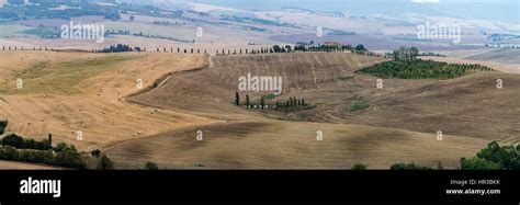 Scenic Tuscany Landscape With Rolling Hills And Valleys In Golden