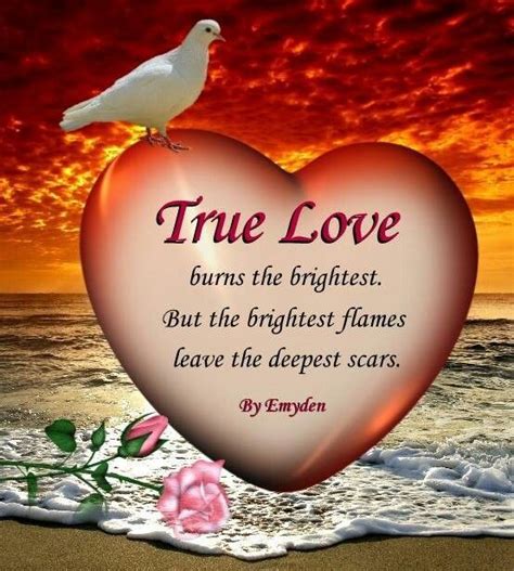 Being that which is the case rather than what is manifest or assumed. True Love Burns The Brightest. But The Brightest Flames Leave The Deepest Scars Pictures, Photos ...
