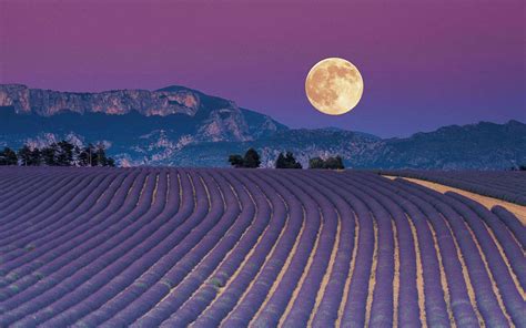 Is committed to making its website accessible to all people, including individuals with disabilities. Blue (Full) Moon in Aquarius - July 31, '15 - Soul Level ...